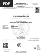 Ejemplo de Dpi Formato para Hacer | PDF