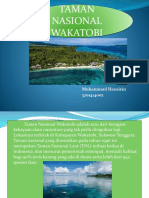 TN Wakatobi: Surga Terumbu Karang dan Biota Laut