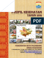1671 Sumsel Kota Palembang 2016 PDF