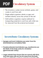 Circulatory System 2019