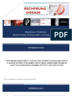 Hirschprung Disease: Department of Radiology Medical Faculty of Hasanuddin University, Makassar