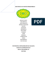 302394497 Makalah Anatomi Fisiologi Sistem Perkemihan Kelompok II Doc