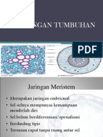 Materi Jaringan Tumbuhan