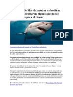 Científicos de Florida Ayudan A Descifrar El Genoma Del Tiburón Blanco Que Puede Tener La Cura para El Cáncer