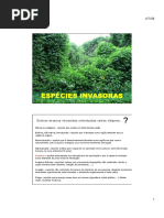 Invasoras