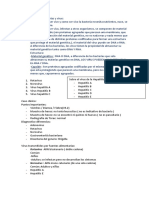 Diferencias Entre Bacterias y Virus