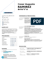 Curriculum Vitae