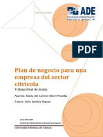 MARTÍ - PLAN DE NEGOCIO PARA UNA EMPRESA DEL SECTOR CITRÍCOLA.pdf