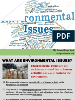 Environmental Issue