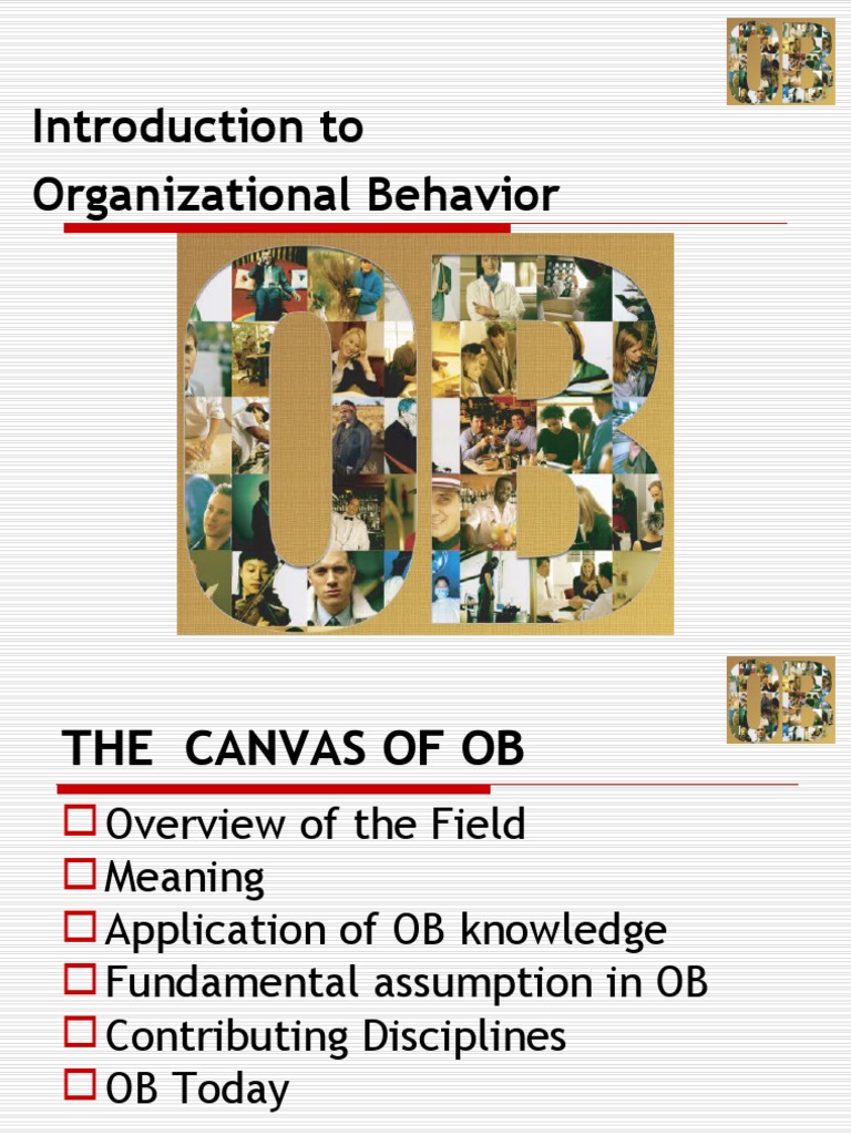Introduction To OB | PDF | Organizational Behavior | Behavior