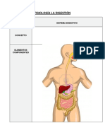 FISIOLOGÍA DE  LA DIGESTIÓN - CUADRO PARA LLENAR (1).docx