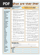 Personality Adjectives Grammar Drills