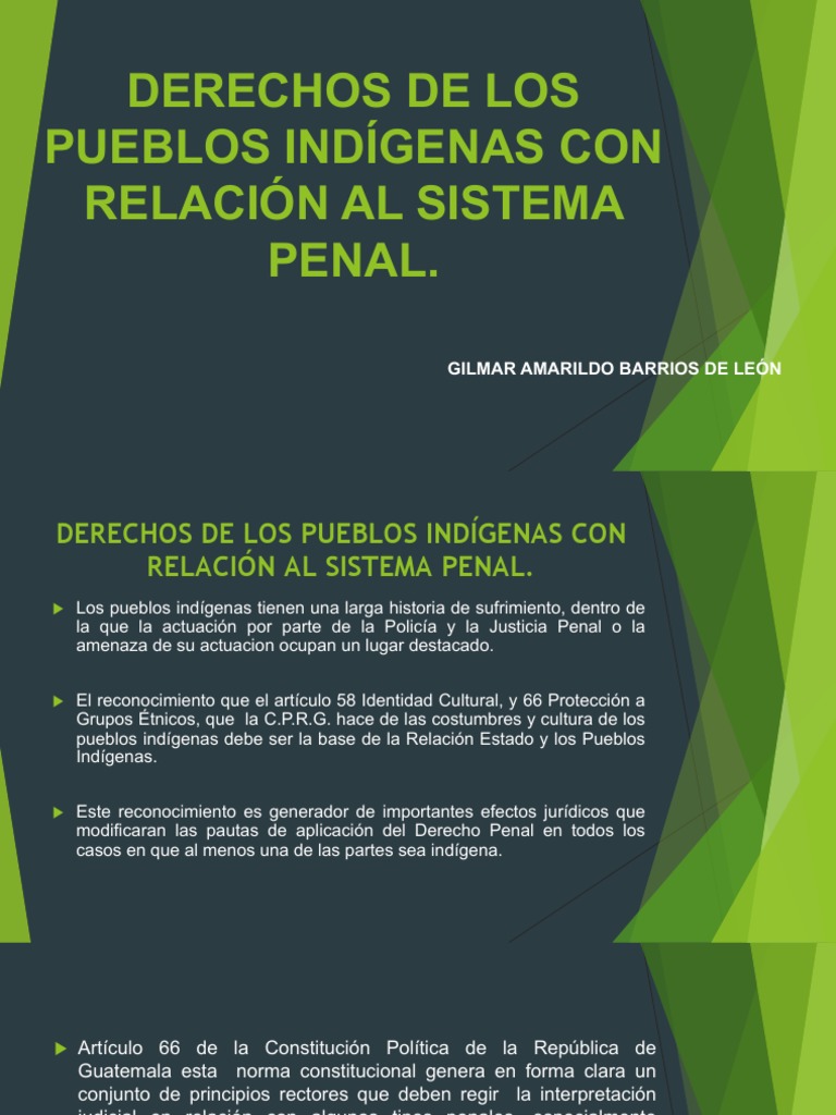 Derechos de Los Pueblos Indigenas en Relacion Al Sistema Penal | PDF ...