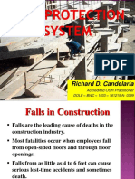 RDC Fall Protection System