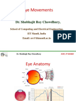 Eye Movements: Dr. Shubhajit Roy Chowdhury