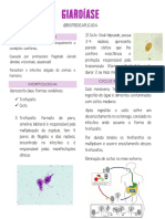 Resumo Giardia.pdf