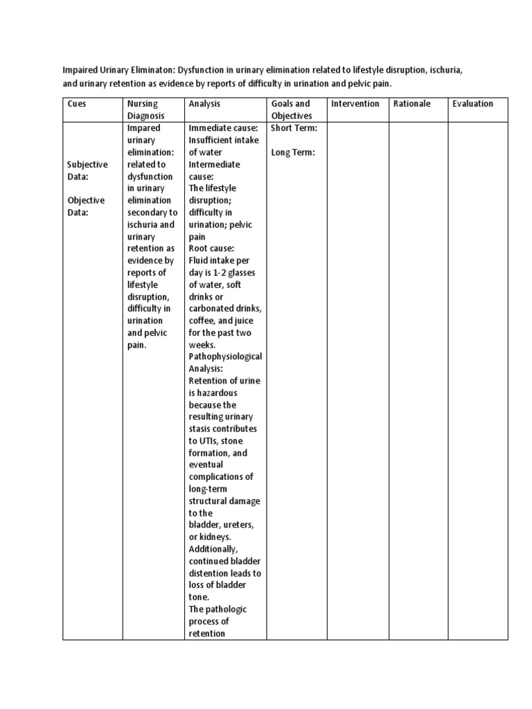 Nursing Care Plan for Urinary Retention | PDF | Urinary System ...