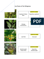 Native Plants of The Philippines.docx