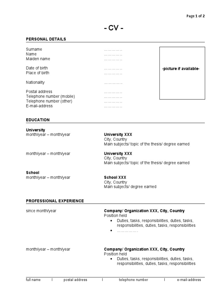 CV Standard Template-Eng | PDF
