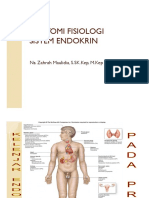 Anatomi Fisiologi Sistem Endokrin