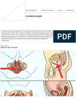 Cómo Ejercitar El Músculo Pubococcígeo - 11 Pasos