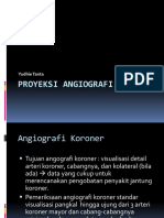 Coronary Angiography Projection