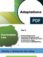adaptations ppt example