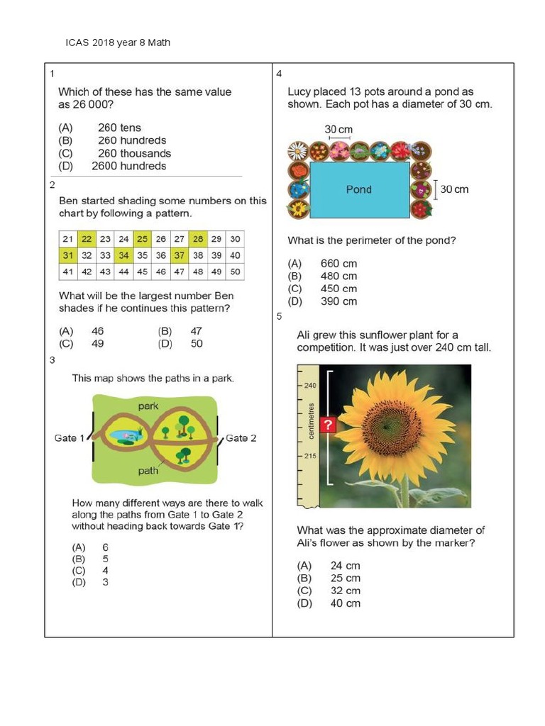 ICAS 2018 Year 8 Math | PDF