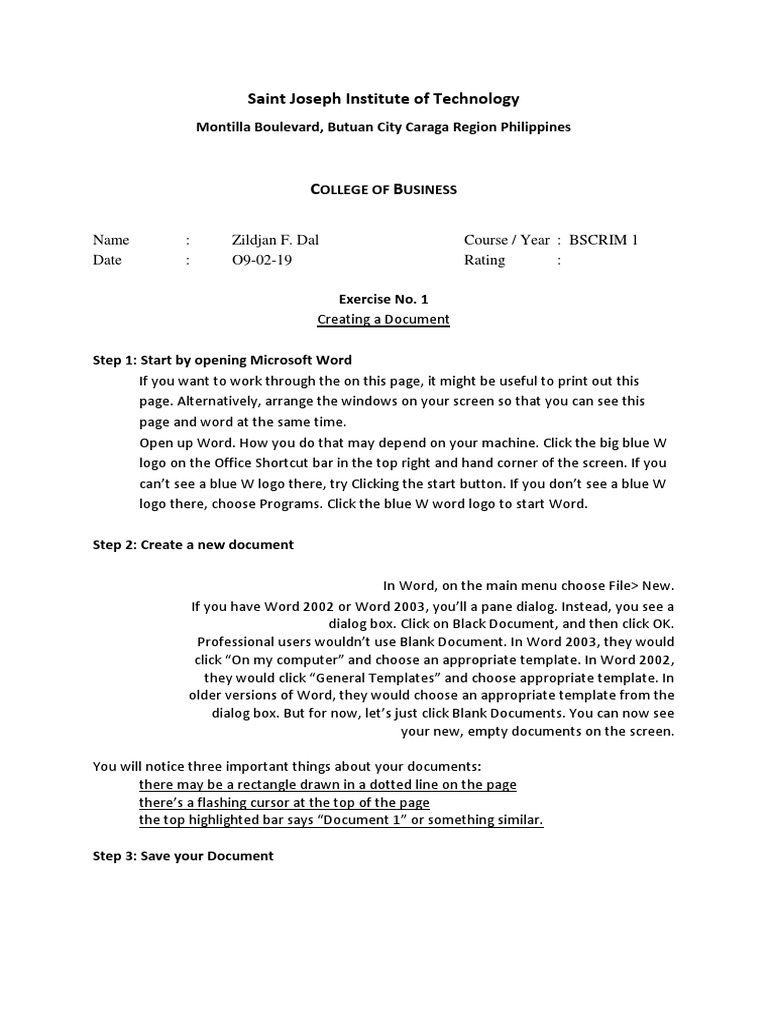 Microsoft Word Document Creation Guide | PDF