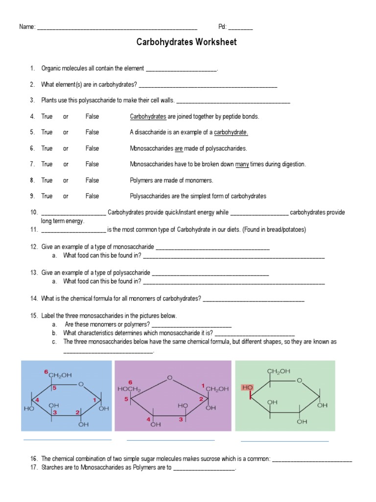 Carbohydrates Worksheet | PDF | Polysaccharide | Carbohydrates