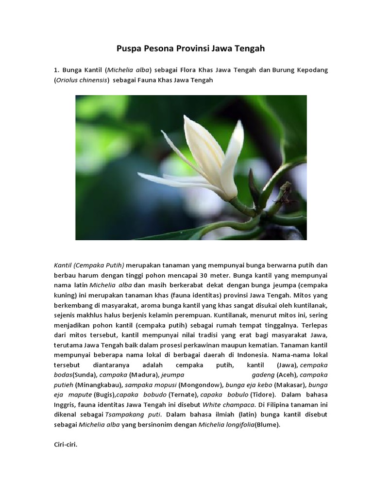 Flora Dan Fauna Khas Provinsi Jawa Tengah Adalah Bunga Kantil | PDF