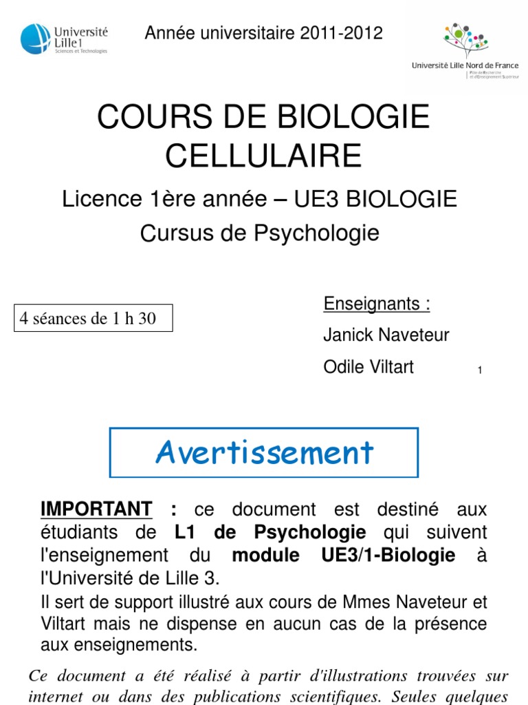 Cours Bio Cell 2011 Etudiants Reticulum Endoplasmique Cellule