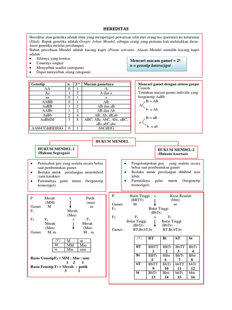 Hukum Mendel Dikonversi