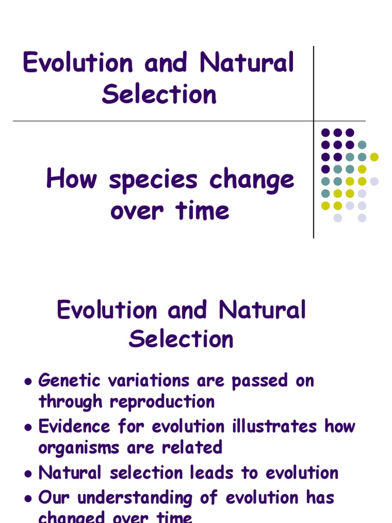 Evolution and Natural Selection Explained | PDF | Natural Selection ...