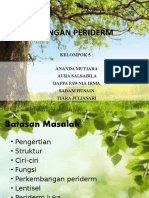 Jaringan Periderm