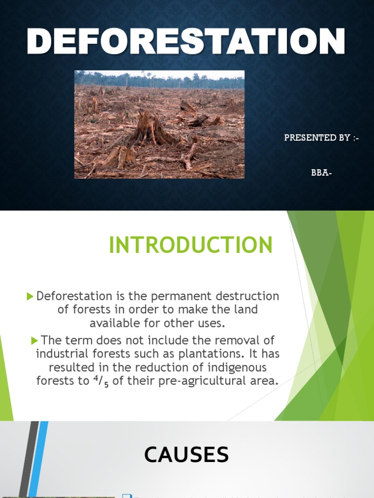 Introducing The Deforestation Risk Toolset – UFGQM