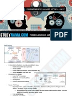 Pathology Notes (Class Notes)