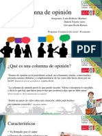 Diapositiva Columna de Opinión