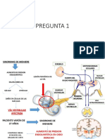 Caso Clinico 3