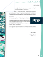 Plan de Cuidados Cefaleas (1).pdf