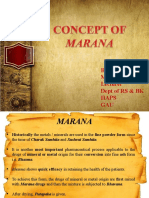 Concept of Marana 2003 - 1479528245884