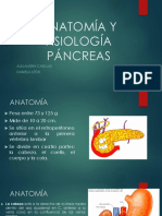 Anatomía y Fisiología Páncreas
