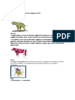 Anatomia Del Leon