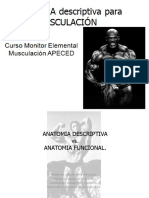 Libro Anatomia PDF