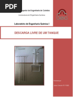 Relatorio-Descarga-Livre.pdf