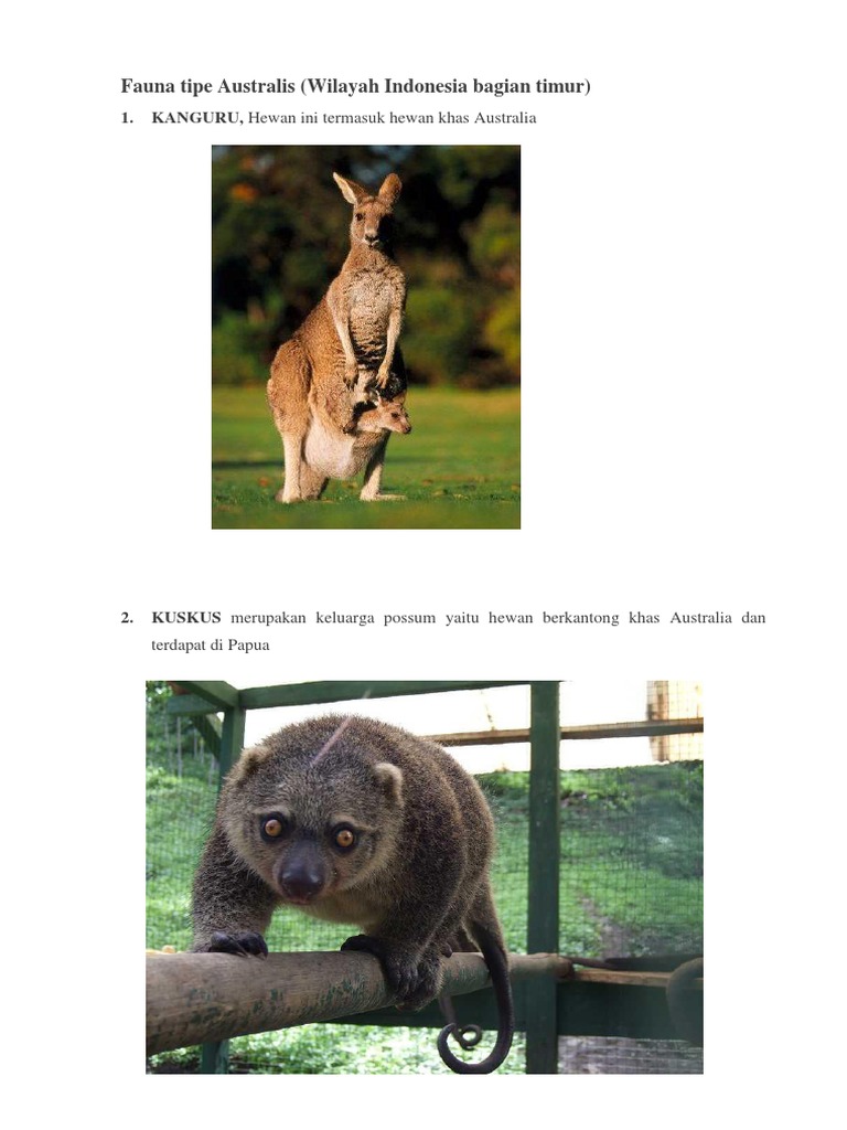 Tipe Fauna 3