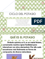 Ciclo Del Potasio