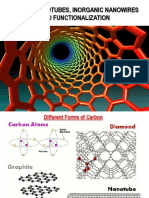 Carbon Nanotubes, Inorganic Nanowires and Functionalization