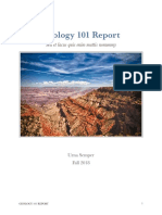 Geology 101 Report on Sedimentary Rocks