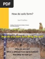 How Do Soils Form?: Soil Profiles